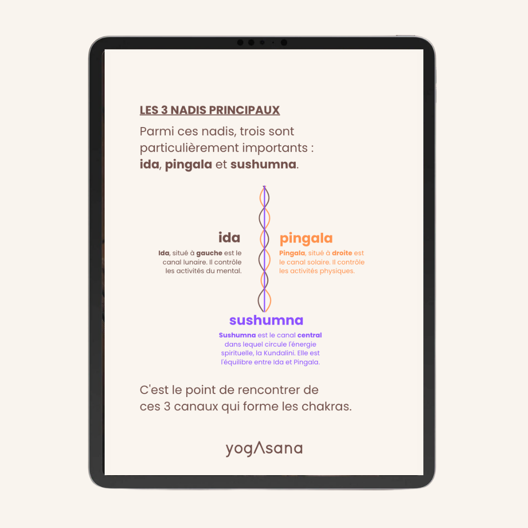 EBOOK 3 : Tout savoir sur les chakras