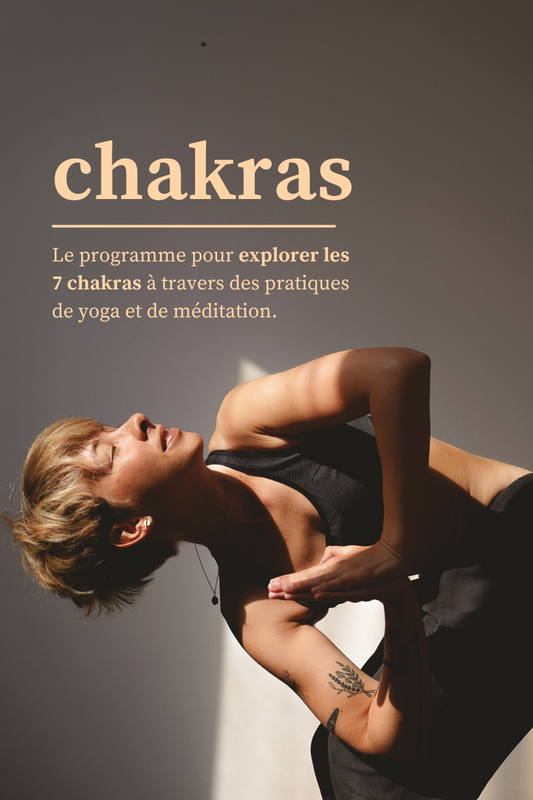 Explorer les 7 chakras